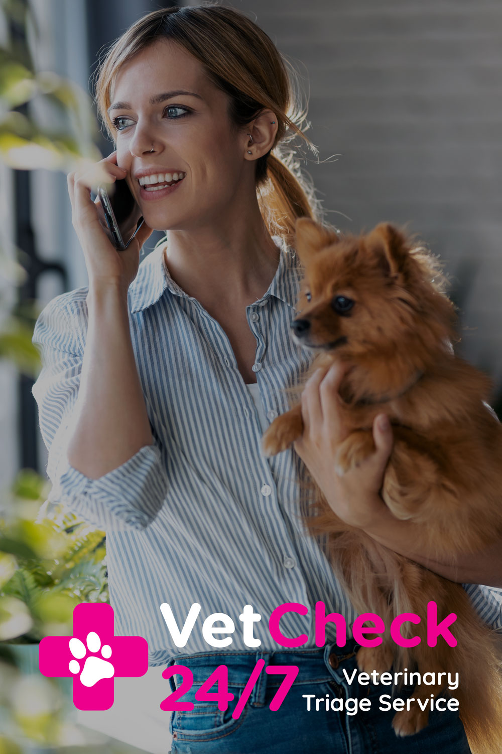 VetCheck 24/7 - Veterinary Triage Service